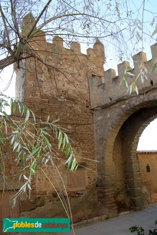 Plans de Sió - Fortificacions de l'Aranyó