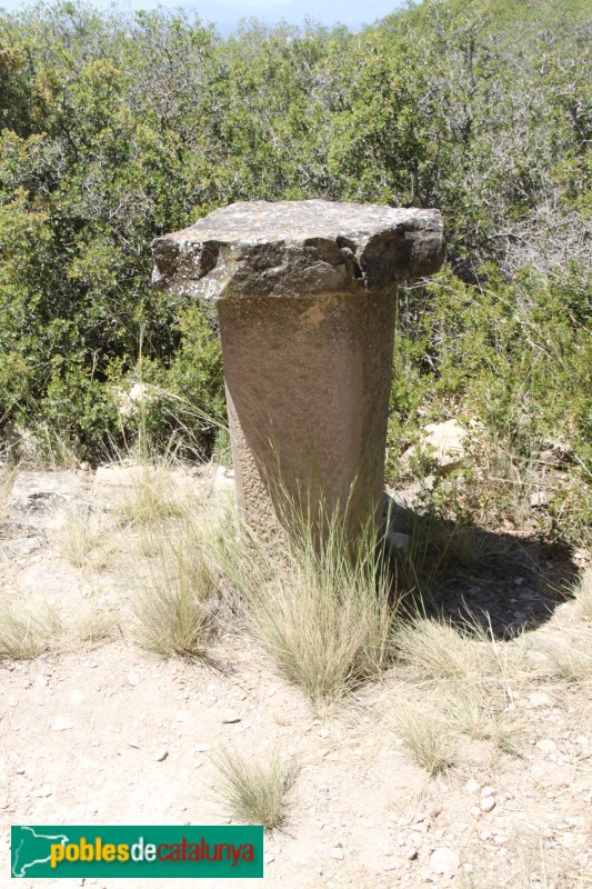 Torà - Sant Pere de Murinyols