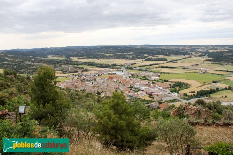 Torà - Panoràmica des de l'Aguda