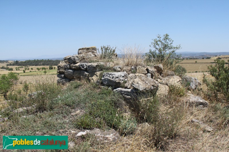 Guissona - Ruïnes del castell de Rubiol (Foto: Albert Esteves, 2015) Guissona - Ruïnes del castell de Rubiol