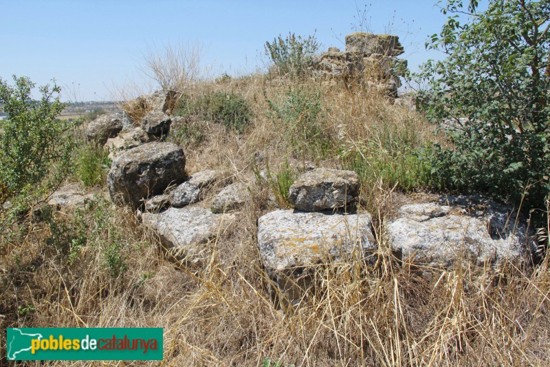 Guissona - Ruïnes del castell de Rubiol (Foto: Albert Esteves, 2015) Guissona - Ruïnes del castell de Rubiol