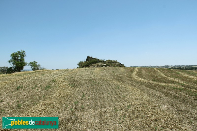 Guissona - Ruïnes del castell de Rubiol (Foto: Albert Esteves, 2015) Guissona - Ruïnes del castell de Rubiol