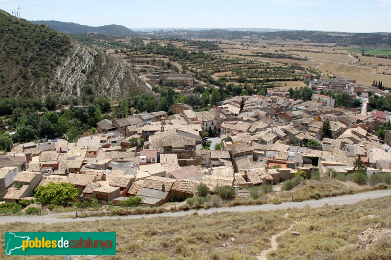 Sanaüja, des del castell, amb la plaça Major al centre