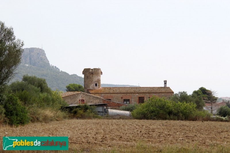 Torroella de Montgrí - Torre Quintaneta