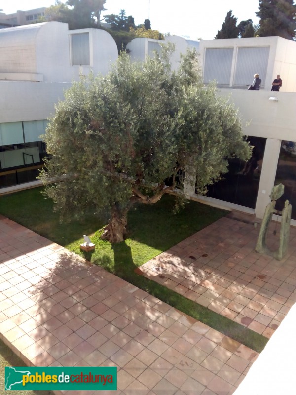 Barcelona - Fundació Miró (Foto: Anna Corcoll, 2016) Barcelona - Fundació Miró