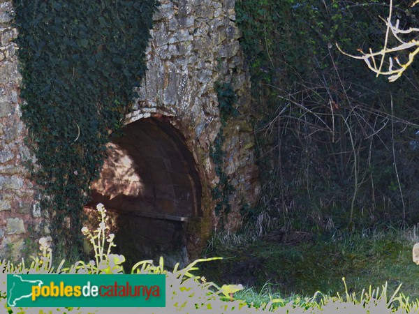 Ull del pont (Foto: Graciel·la Vidal, 2017) Ull del pont