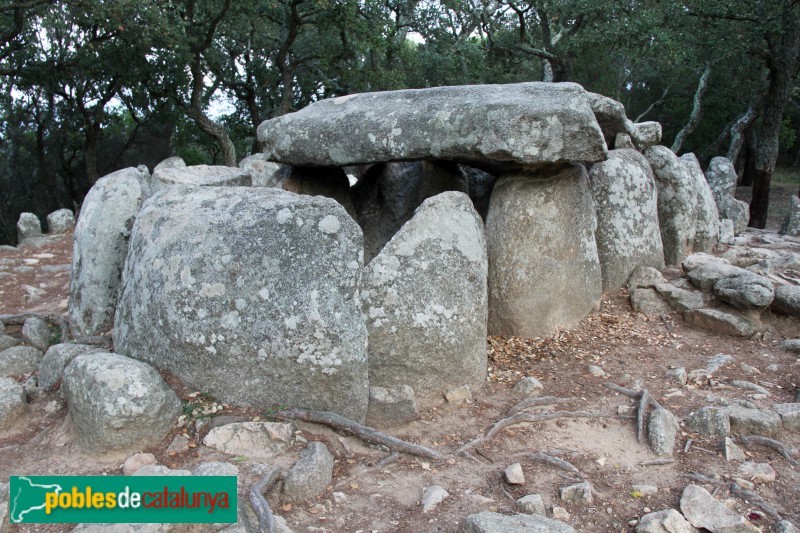 Santa Cristina d'Aro - Cova d'en Daina