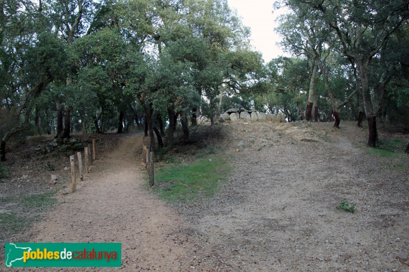 Santa Cristina d'Aro - Cova d'en Daina (Foto: Albert Esteves, 2017) Santa Cristina d'Aro - Cova d'en Daina