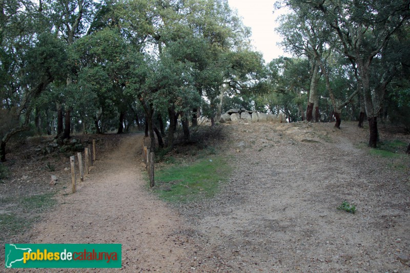 Santa Cristina d'Aro - Cova d'en Daina