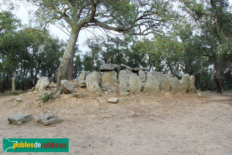 Santa Cristina d'Aro - Cova d'en Daina (Foto: Albert Esteves, 2017) Santa Cristina d'Aro - Cova d'en Daina