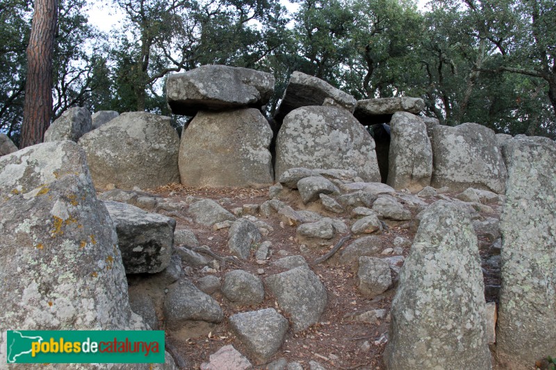 Santa Cristina d'Aro - Cova d'en Daina (Foto: Albert Esteves, 2017) Santa Cristina d'Aro - Cova d'en Daina