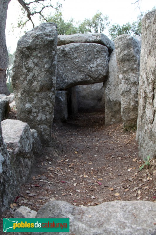 Santa Cristina d'Aro - Cova d'en Daina (Foto: Albert Esteves, 2017) Santa Cristina d'Aro - Cova d'en Daina
