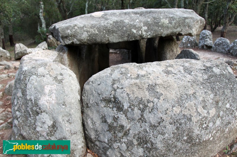 Santa Cristina d'Aro - Cova d'en Daina (Foto: Albert Esteves, 2017) Santa Cristina d'Aro - Cova d'en Daina