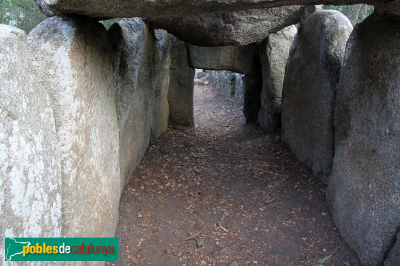 Santa Cristina d'Aro - Cova d'en Daina (Foto: Albert Esteves, 2017) Santa Cristina d'Aro - Cova d'en Daina