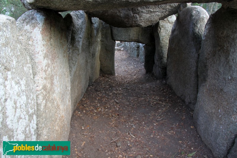 Santa Cristina d'Aro - Cova d'en Daina