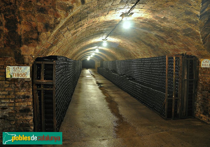 Sant Martí Sarroca - Caves Rovellats