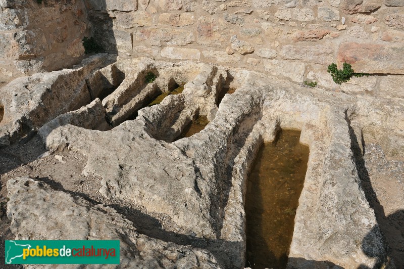 Poblat d'Olèrdola - Necròpolis (Foto: Alberto González Rovira, 2018) Poblat d'Olèrdola - Necròpolis