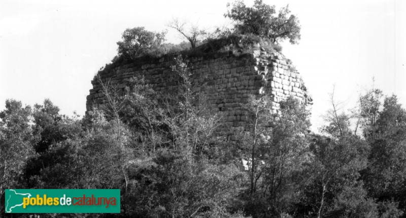 Vilanova de Sau - Domus del Pi (Foto: Pere Català -Invarquit, Gencat.cat-, 1965) Vilanova de Sau - Domus del Pi