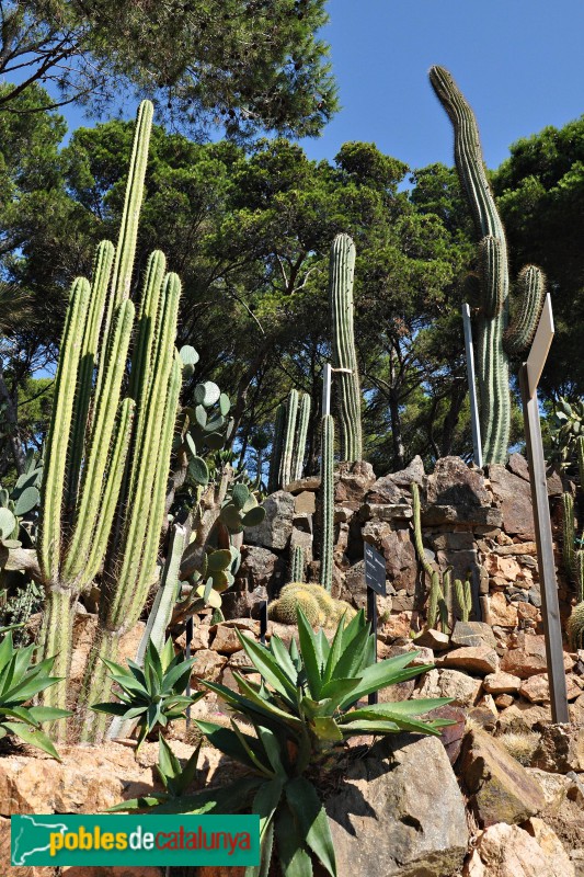 Palafrugell - Cap Roig, jardins