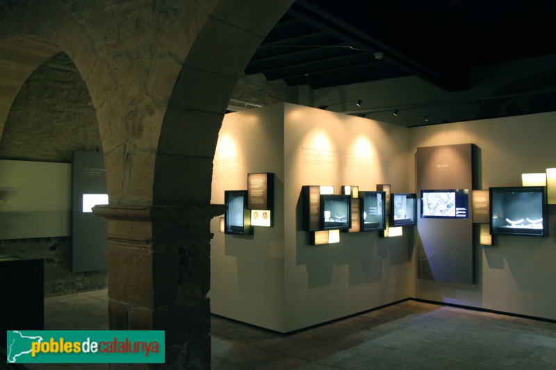 Tàrrega - Museu Comarcal de l'Urgell