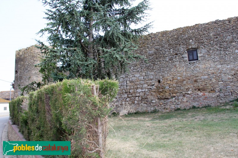 Palau-sator - Muralla (Foto: Albert Esteves, 2018) Palau-sator - Muralla