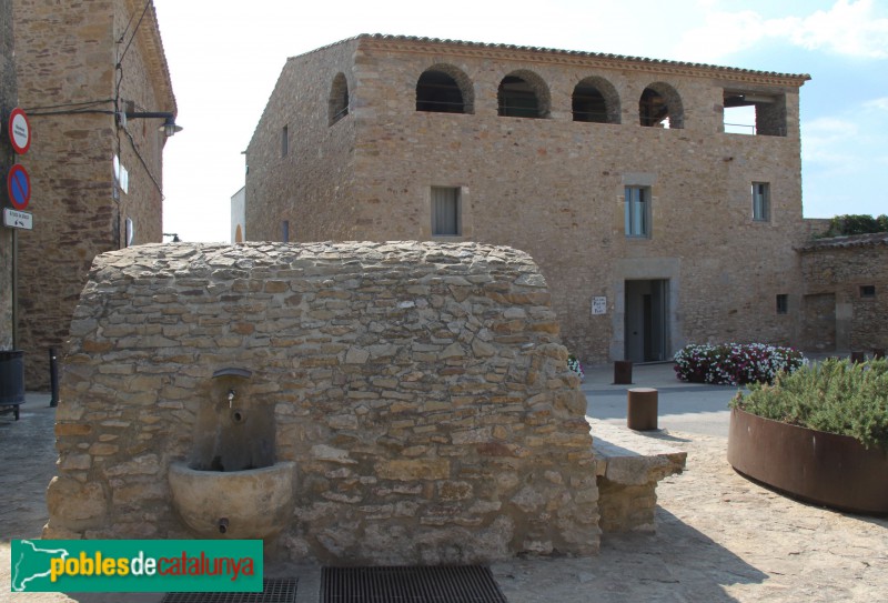 Palau-sator - Pou de Sant Feliu de Boada