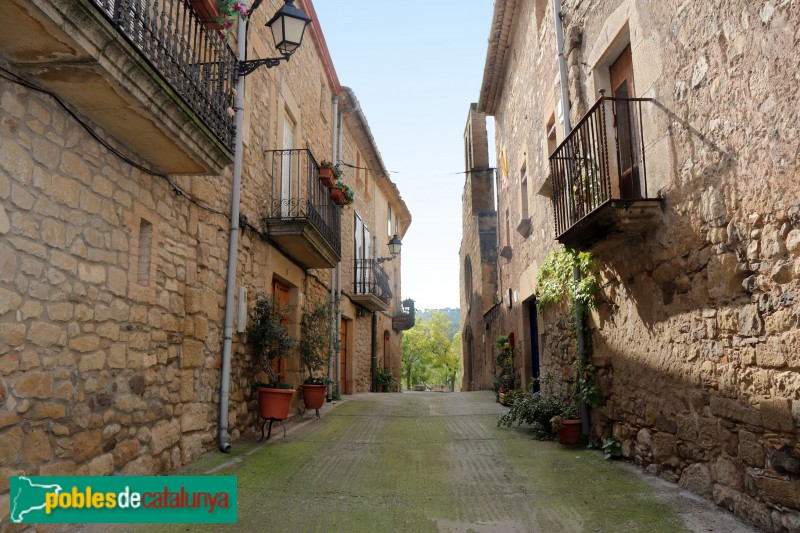 Sant Martí de Riucorb - El Vilet, carrer Major