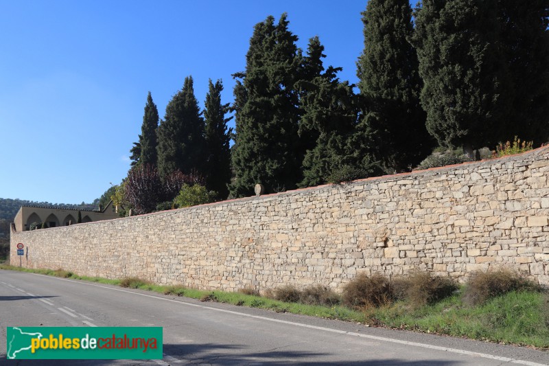 Vallbona de les Monges - Cementiri, mur amb esteles