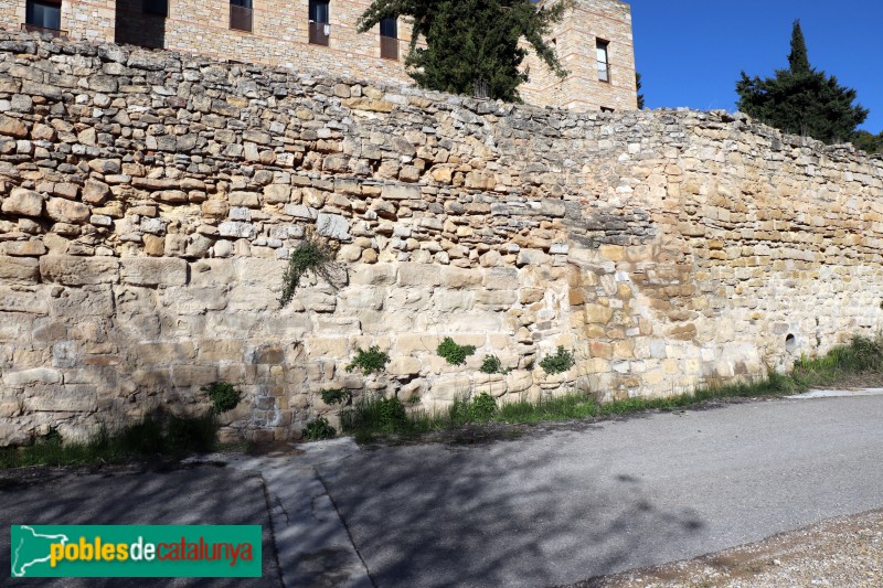 Vallbona de les Monges - Muralla