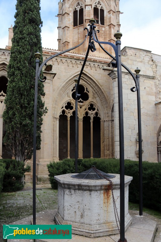 Vallbona de les Monges - Claustre del monestir. El pou