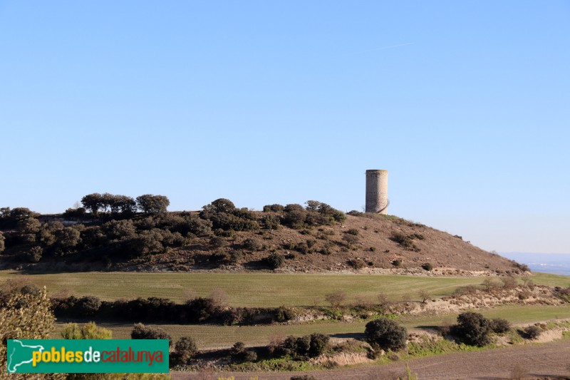 Agramunt - Pilar d'Almenara (Foto: Albert Esteves, 2019) Agramunt - Pilar d'Almenara