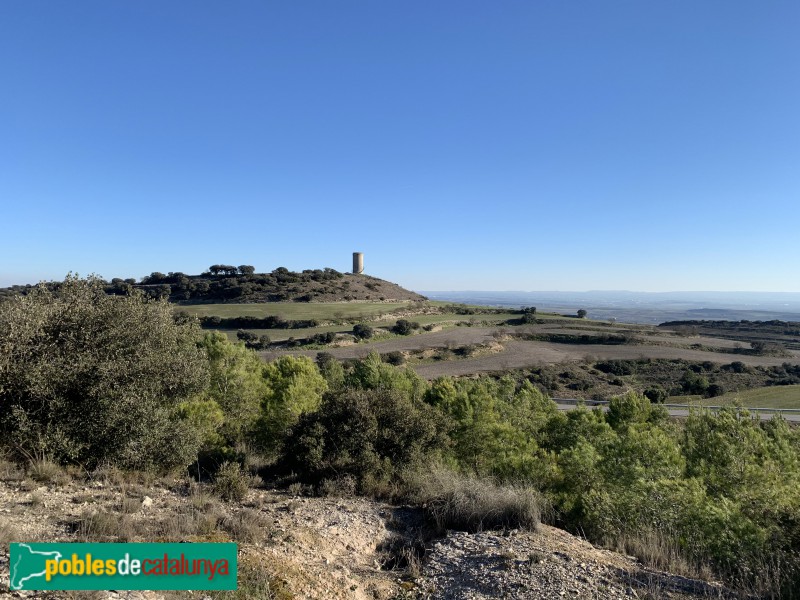 Agramunt - Pilar d'Almenara (Foto: Albert Esteves, 2019) Agramunt - Pilar d'Almenara