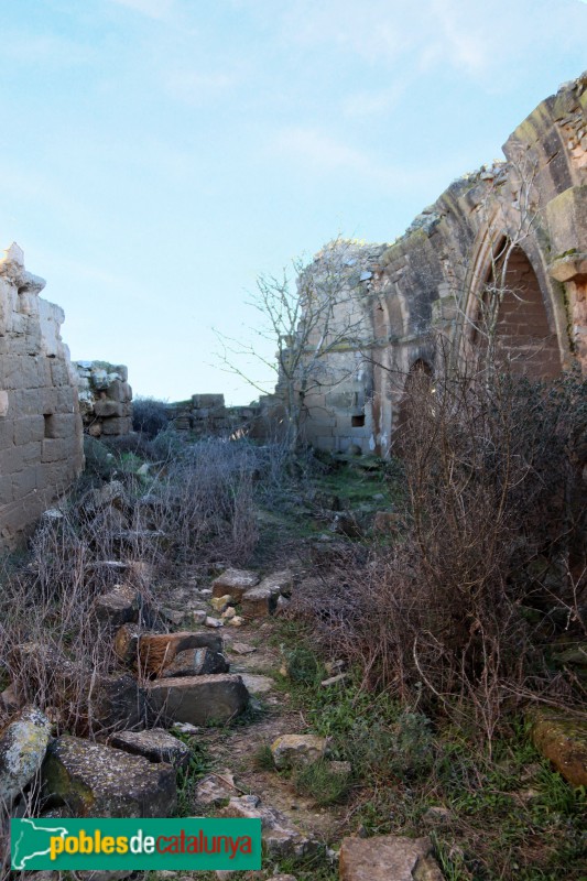 Agramunt - Sant Vicenç d'Almenara (Foto: Albert Esteves, 2019) Agramunt - Sant Vicenç d'Almenara