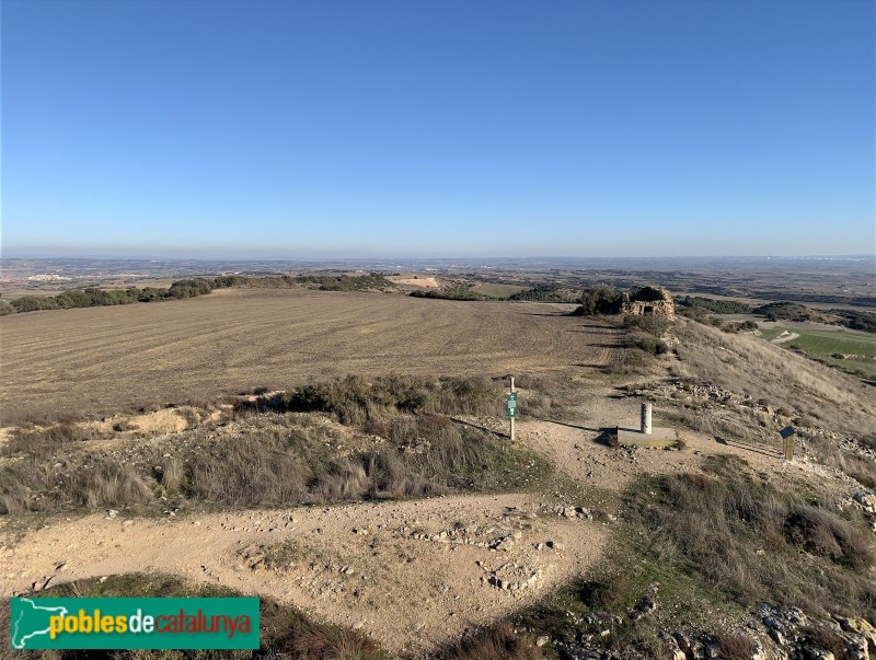 Agramunt - Panoràmica des de la torre