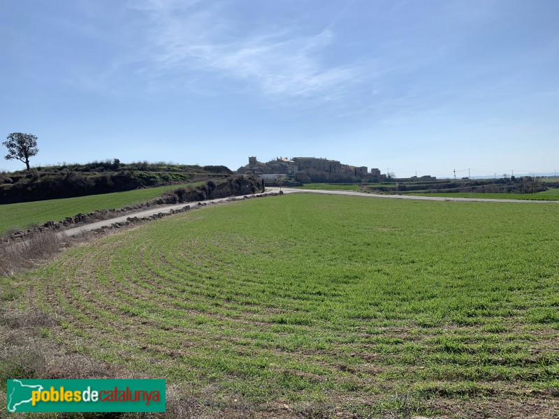Agramunt - La Donzell d'Urgell (Foto: Albert Esteves, 2019) Agramunt - La Donzell d'Urgell