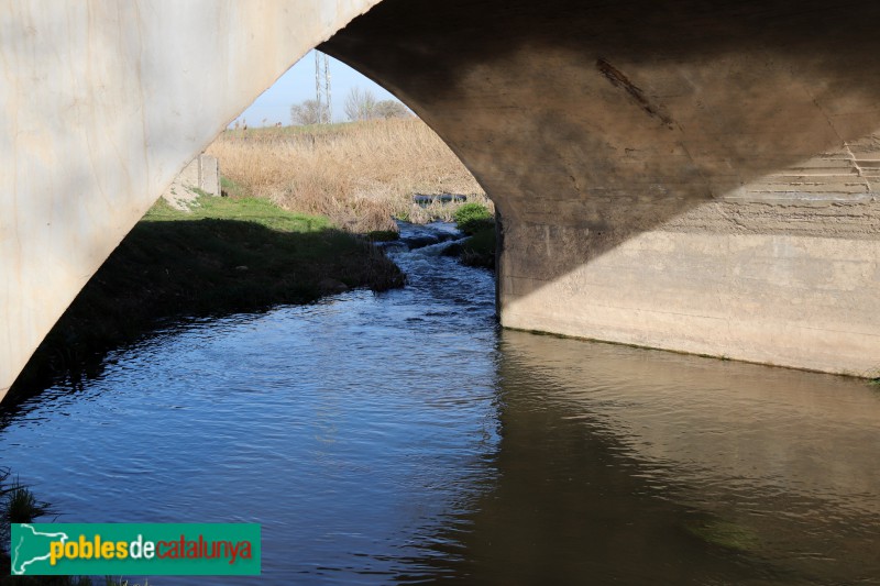 Agramunt - Parc de Riella, pont de la carretera de Cervera