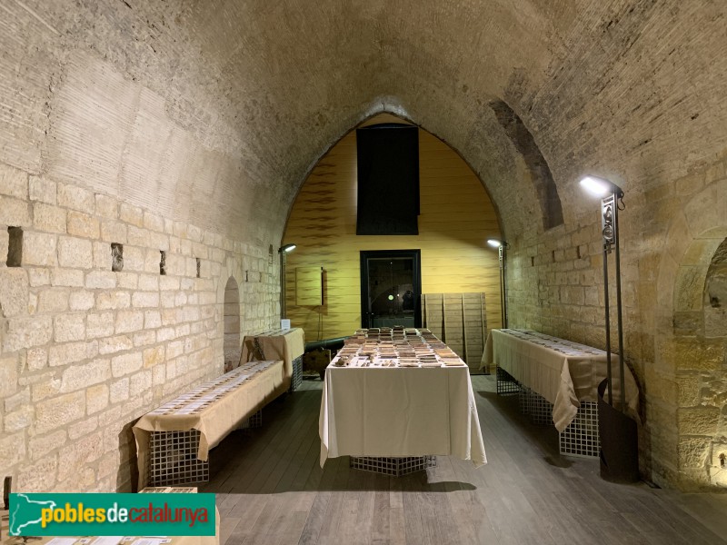 La Bisbal d'Empordà - Castell. Sala de les tines