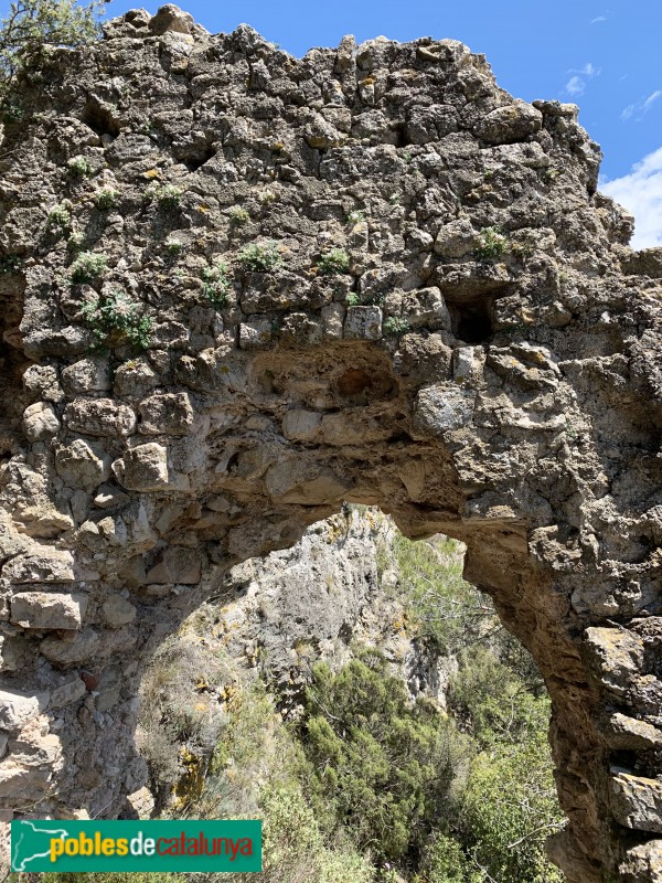 Aiguamúrcia - Castell de Selma