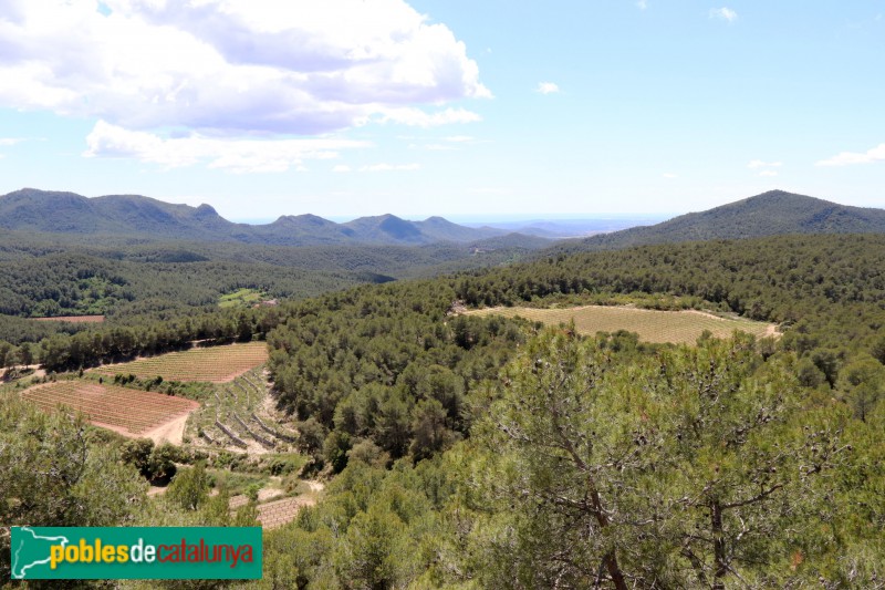 Aiguamúrcia - Panoràmica des del castell de Selma