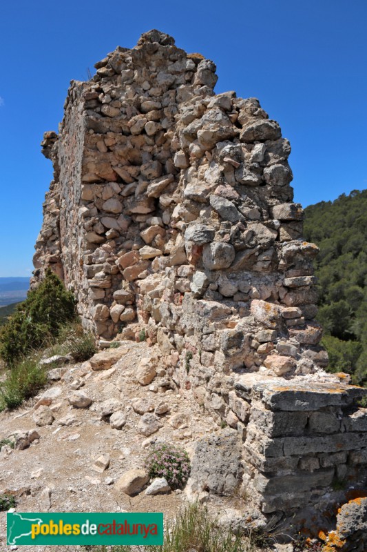 Aiguamúrcia - Castell de Selma