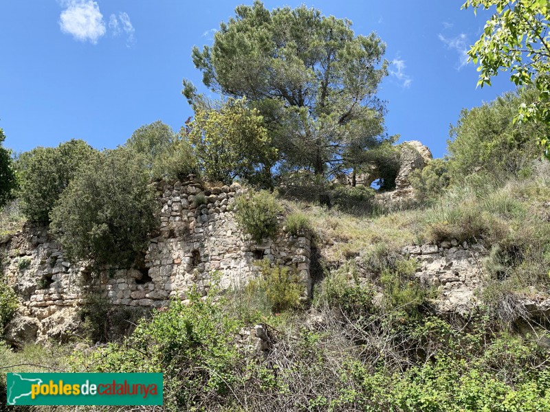 Aiguamúrcia - Castell de Selma