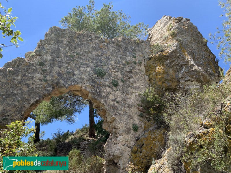 Aiguamúrcia - Castell de Selma