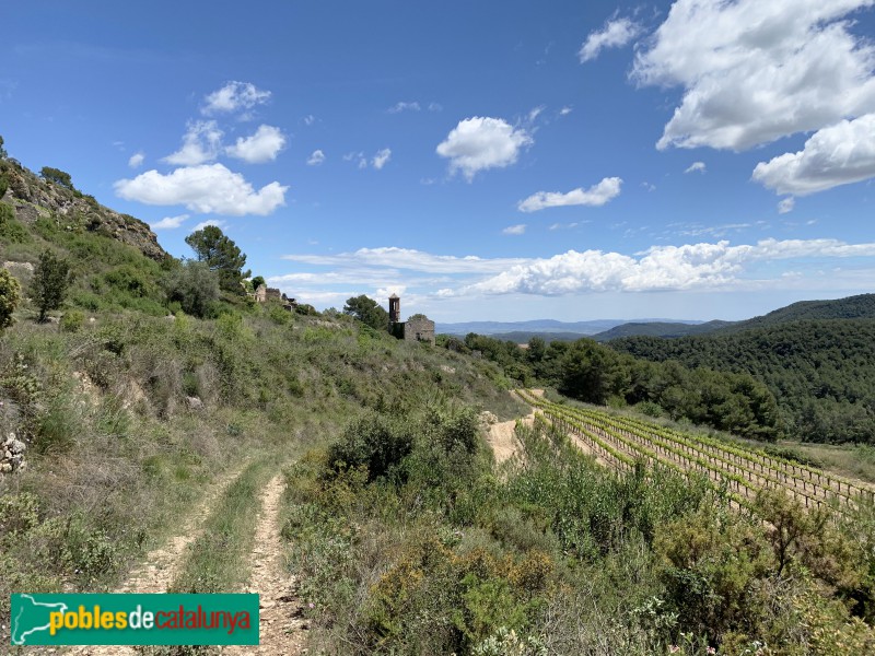 Aiguamúrcia - Poble abandonat de Selma (Foto: Albert Esteves, 2019) Aiguamúrcia - Poble abandonat de Selma