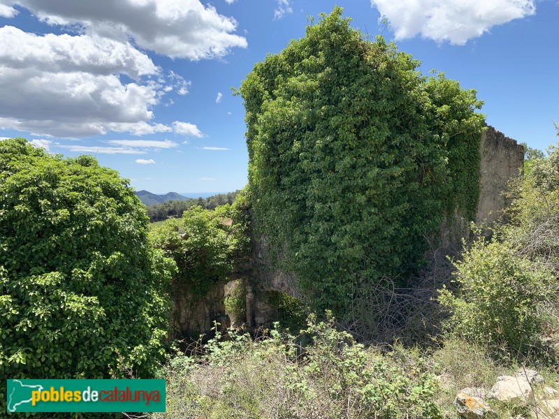 Aiguamúrcia - Poble abandonat de Selma