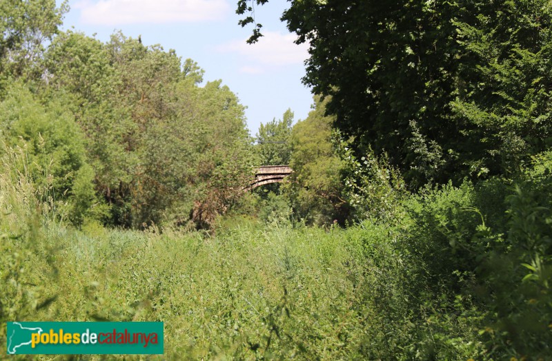 Aiguamúrcia - Pont de Pedra (Santes Creus)