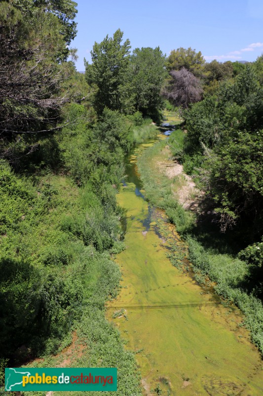 Aiguamúrcia - Vista del riu Gaià des del Pont de Pedra (Santes Creus)