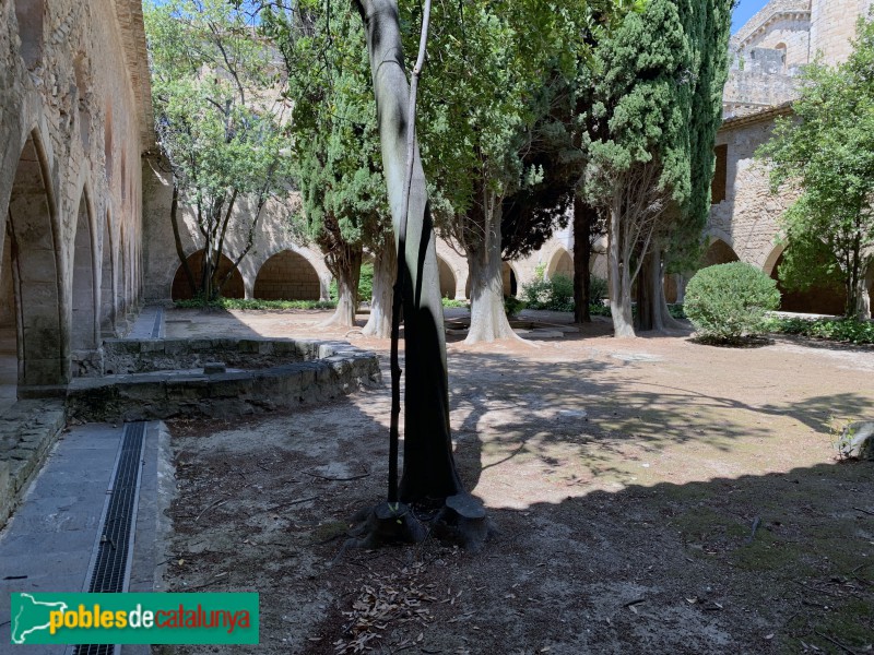 Monestir de Santes Creus - Claustre posterior