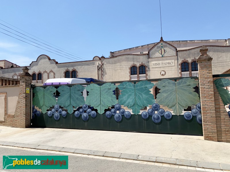 Bràfim - Bodega Vins Padró (Foto: Albert Esteves, 2019) Bràfim - Bodega Vins Padró