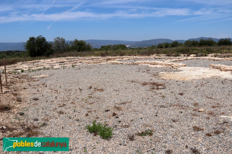 Nulles - Jaciment ibèric de Rabassats (Foto: Albert Esteves, 2019) Nulles - Jaciment ibèric de Rabassats