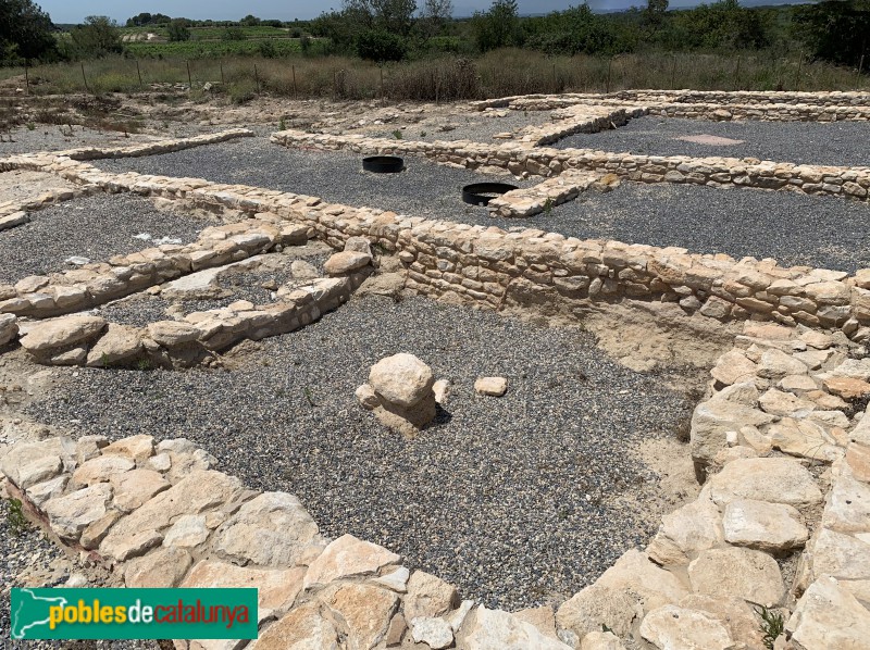 Nulles - Jaciment ibèric de Rabassats (Foto: Albert Esteves, 2019) Nulles - Jaciment ibèric de Rabassats